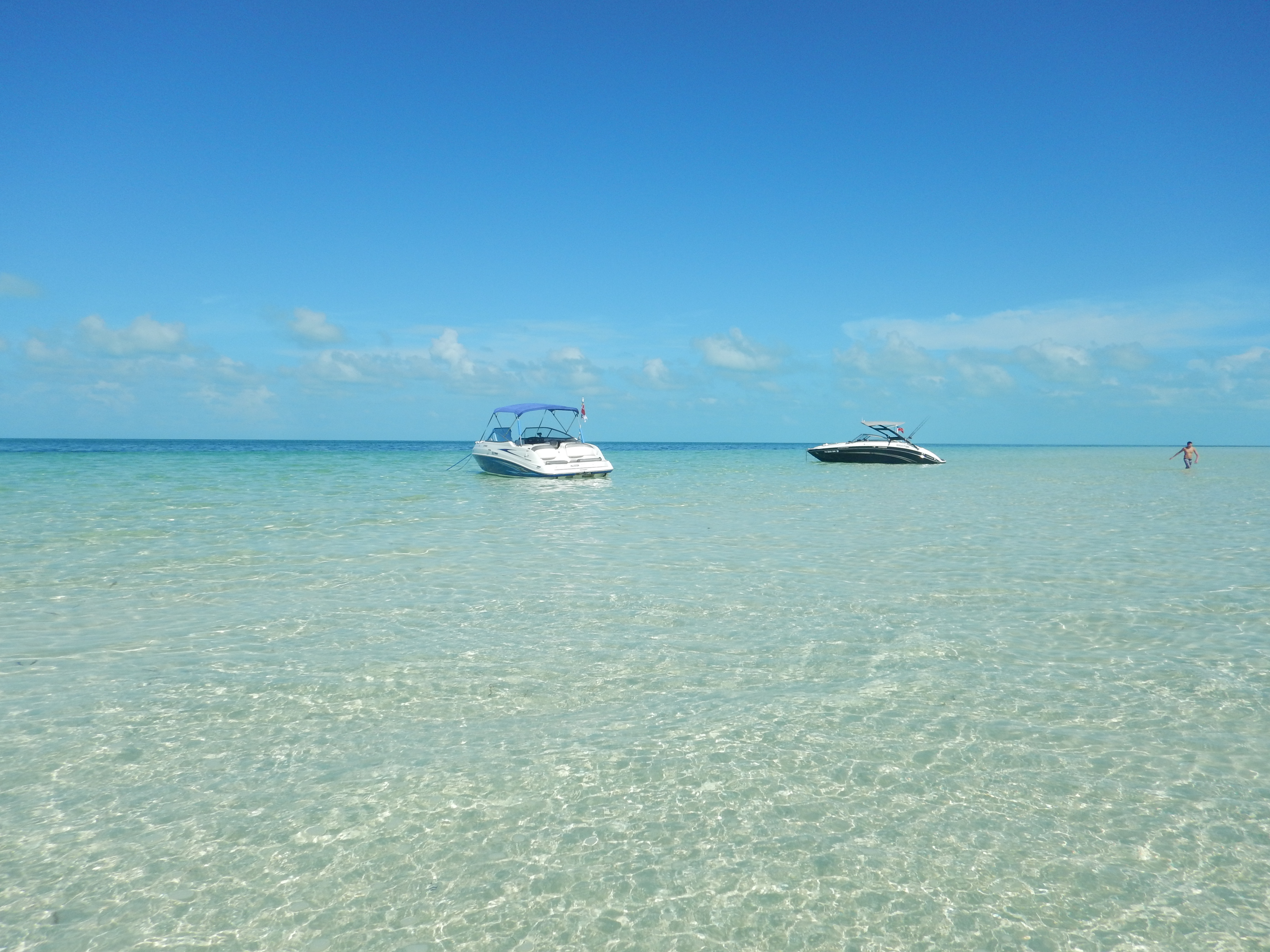 Bimini2016Ward46