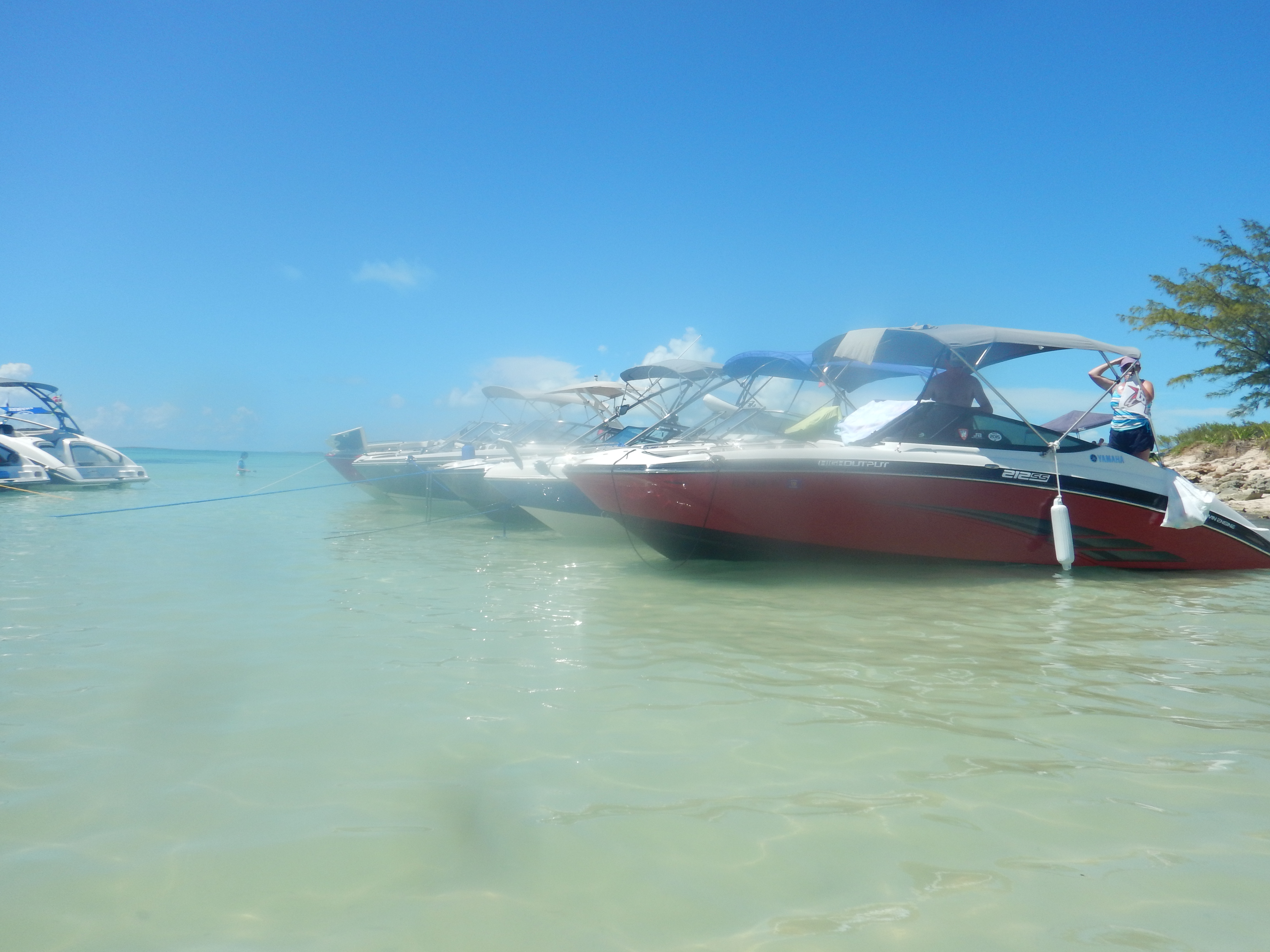 Bimini2016Ward76