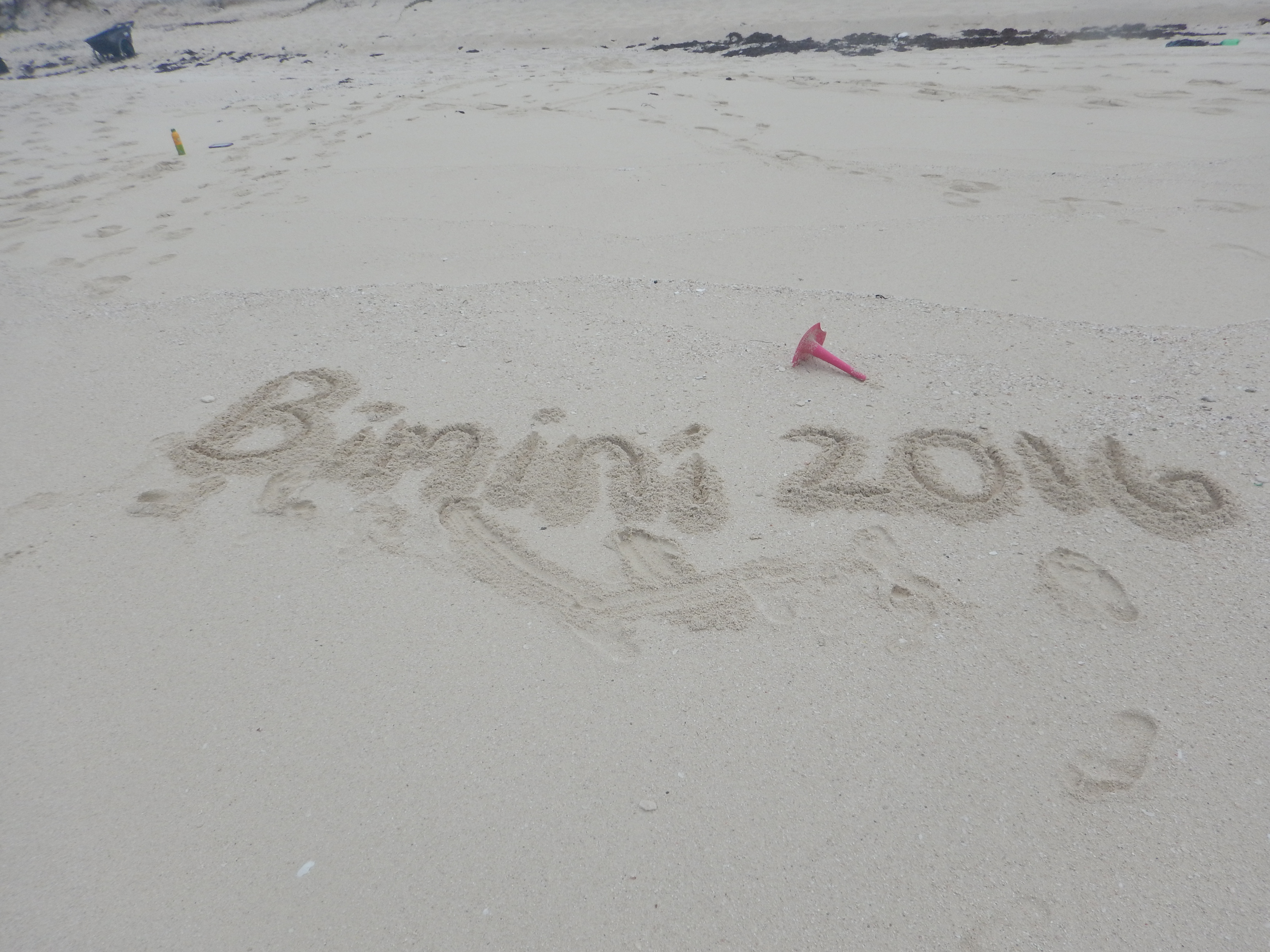 Bimini2016Ward86