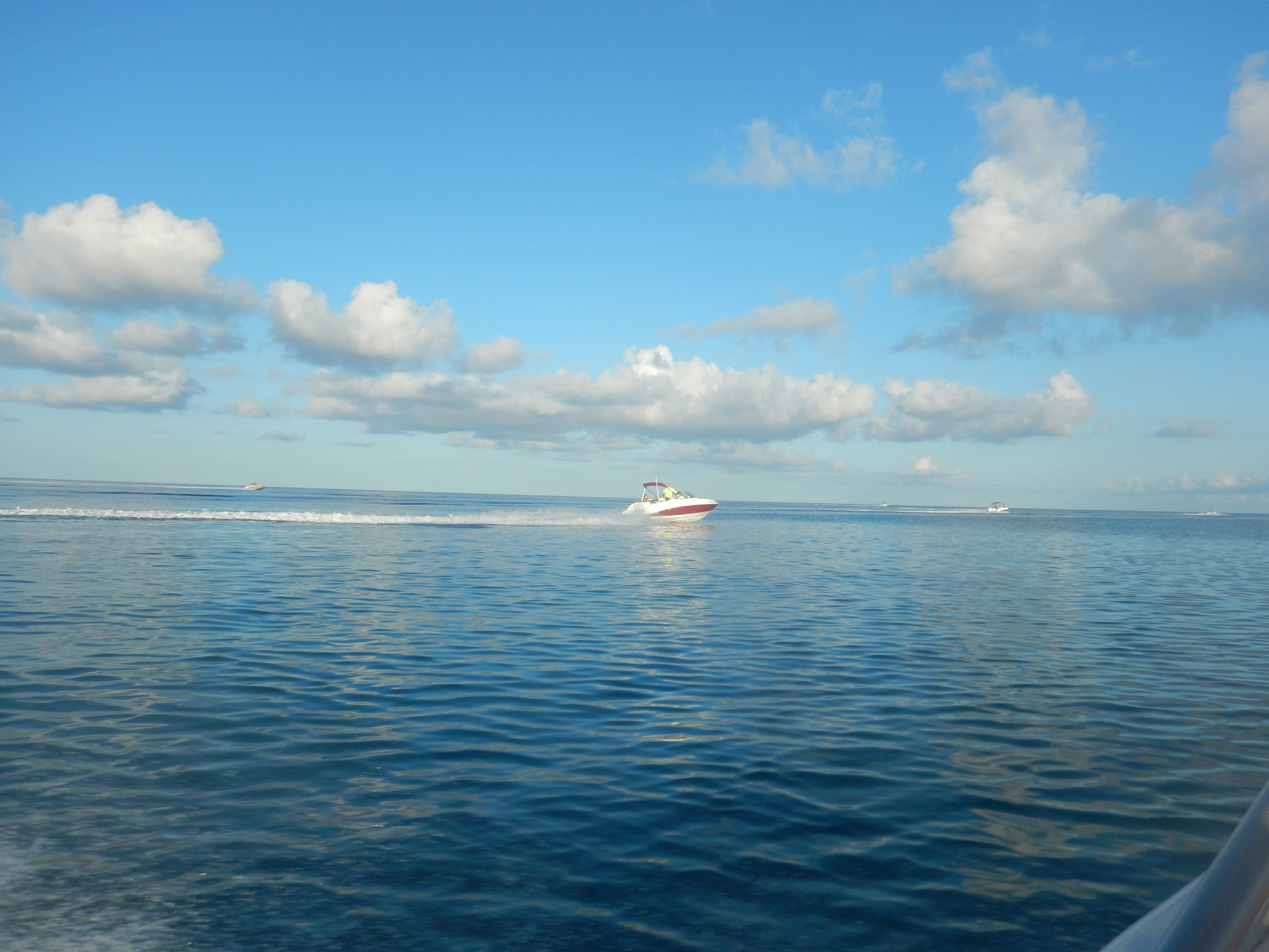 DSCN0464.jpg
