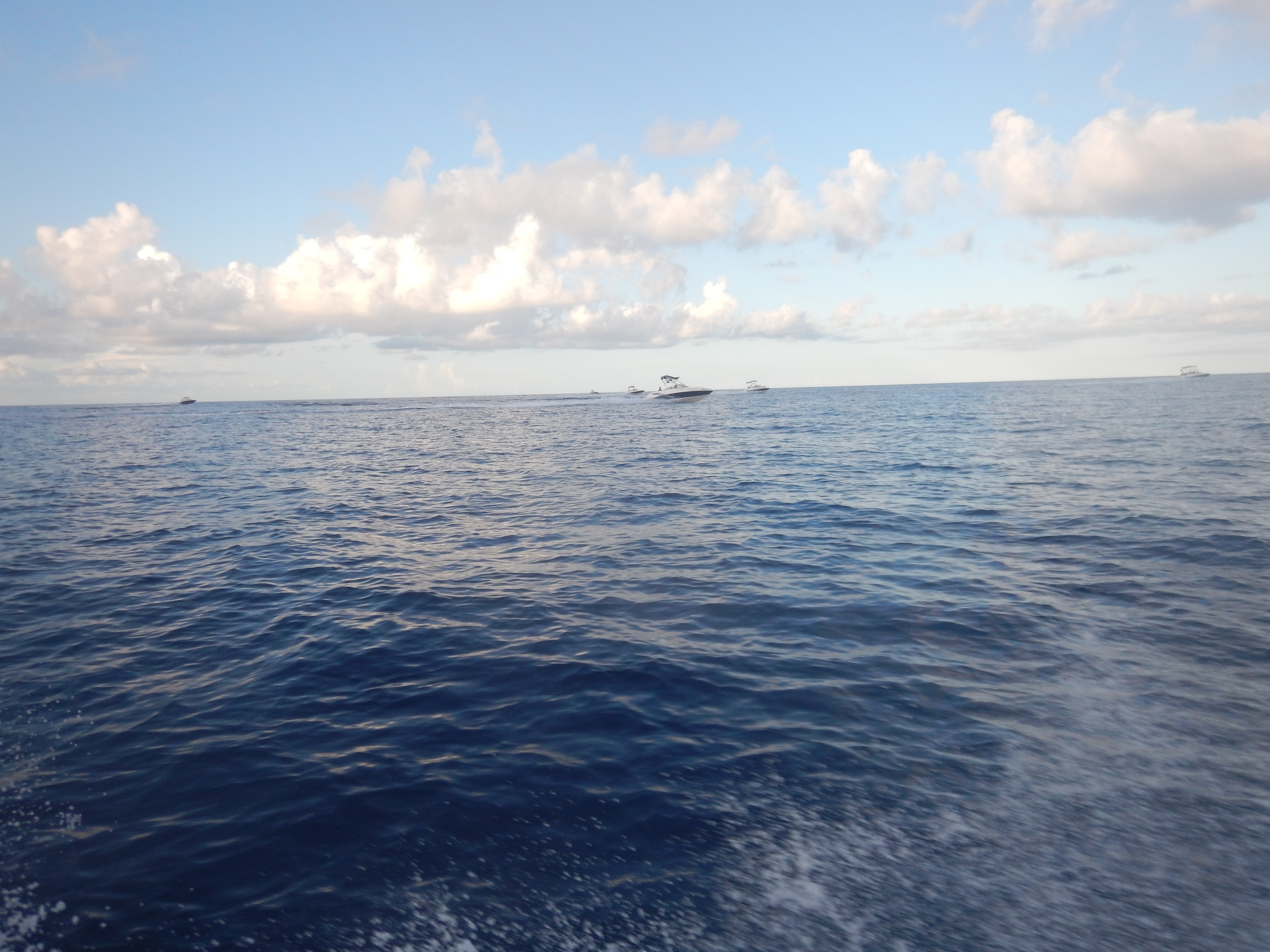 DSCN0482.jpg
